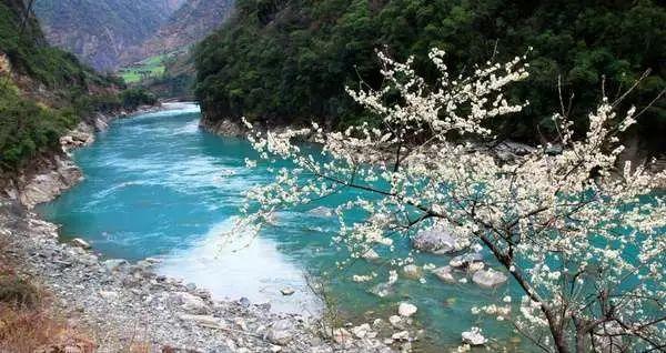 秘密花园找不同