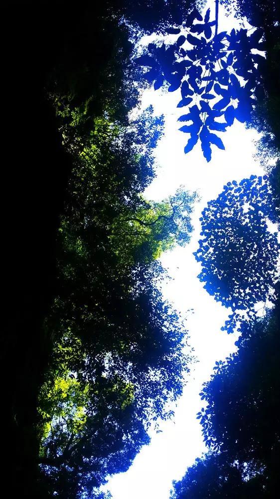 重庆哪里有冷冻鸡锁骨批发？游戏画面