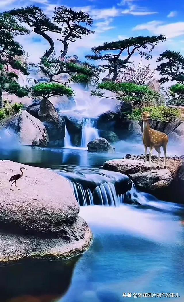 营救森林中的夫妇