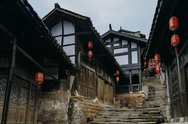 五彩鹦鹉救援