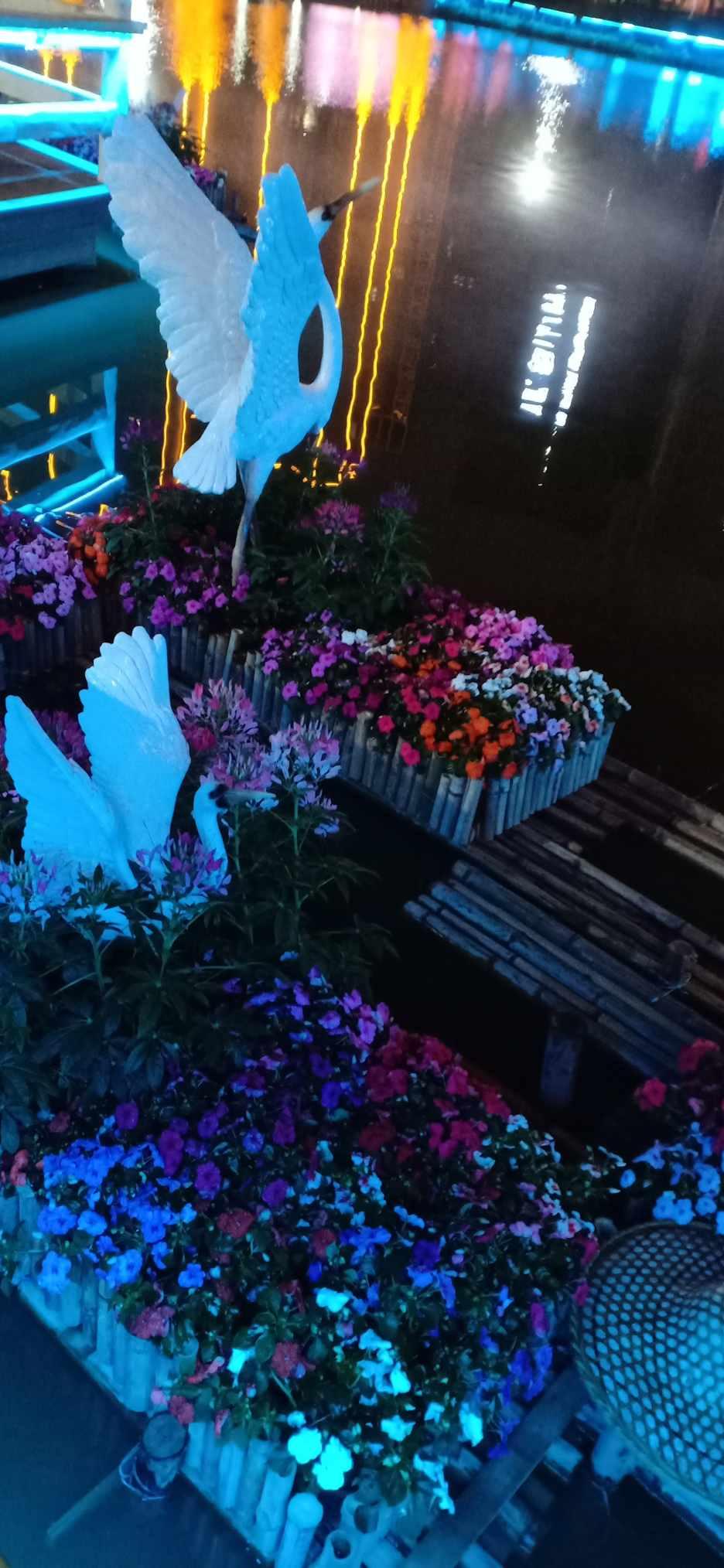 逃离黑白系房屋